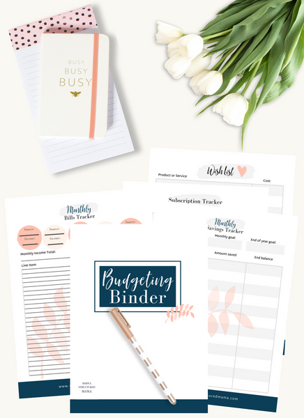 Budgeting Binder Printables {20 pages}